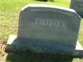 Stella Arbella Cook