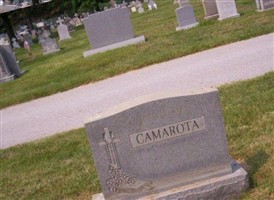 Stella Camarota Stella Camarota