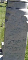 Stella Hibbard