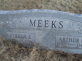 Stella L Meeks