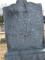 Stella V Herman Stella V Herman