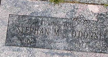 Stephan M J O'Donnell