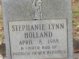 Stephanie Lynn Holland Stephanie Lynn Holland