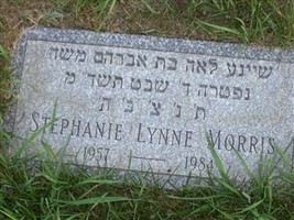 Stephanie Lynne Morris Stephanie Lynne Morris