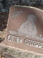 Stephen Ant