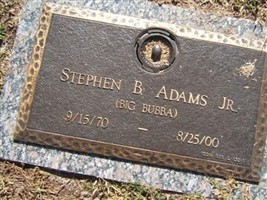 Stephen B. Adams, Jr Stephen B. Adams, Jr