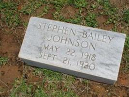 Stephen Bailey Johnson