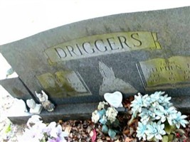 Stephen E. Driggers