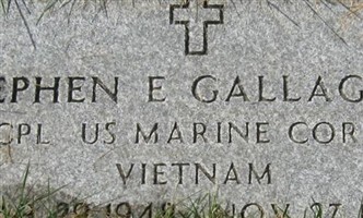 Stephen E. Gallagher