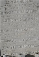 Stephen F Macaluso Stephen F Macaluso