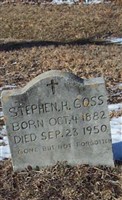 Stephen H Goss Stephen H Goss