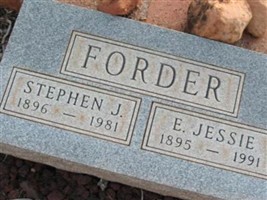 Stephen J Forder