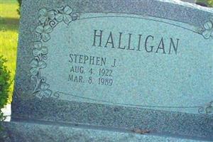 Stephen J Halligan