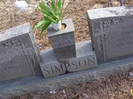 Stephen J Simpson Stephen J Simpson