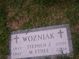 Stephen J Wozniak