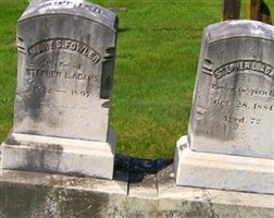 Stephen L. Adams Stephen L. Adams