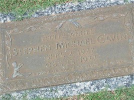 Stephen Michael Cavin Stephen Michael Cavin