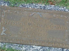 Stephen Michael Cavin Stephen Michael Cavin