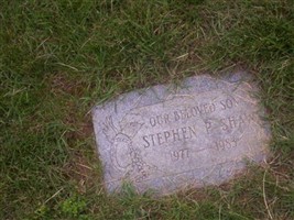 Stephen P Shaw Stephen P Shaw