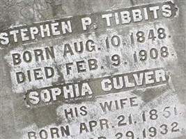 Stephen P Tibbits Stephen P Tibbits