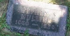 Stephen S Mullins Stephen S Mullins