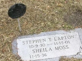 Stephen T Lapton Stephen T Lapton