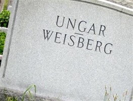 Stephen Ungar Stephen Ungar