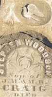 Stephen Woodson Craig