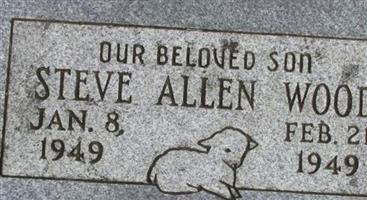 Steve Allen Wood