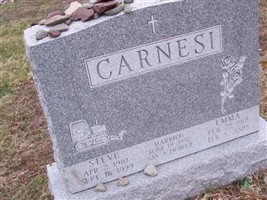 Steve Carnesi Steve Carnesi