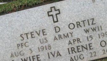 Steve Domeniques Ortiz