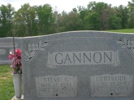 Steve George Gannon Steve George Gannon