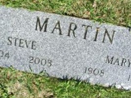 Steve H Martin Steve H Martin