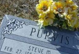 Steve M. Purvis Steve M. Purvis