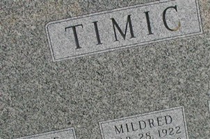 Steve Timic