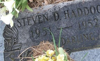 Steven D. Haddock