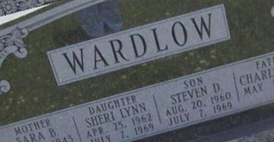Steven D Wardlow