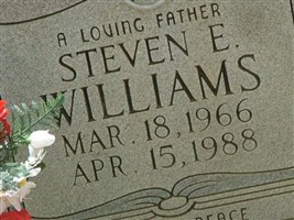Steven E Williams Steven E Williams