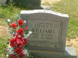 Steven E Williams Steven E Williams