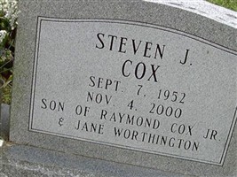Steven J. Cox Steven J. Cox