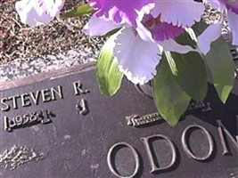 Steven R. Odom