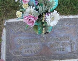 Steven S. Johnson Steven S. Johnson