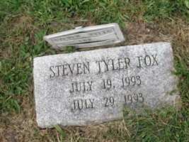 Steven Tyler Fox Steven Tyler Fox
