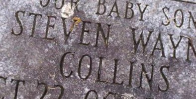 Steven Wayne Collins Steven Wayne Collins