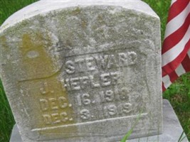 Steward J Hefler
