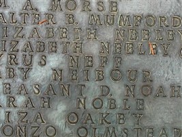 Stillborn Neibour Stillborn Neibour