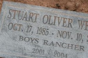 Stuart Oliver Wells Stuart Oliver Wells