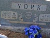 Sudie M York