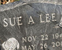 Sue A Lee Sue A Lee