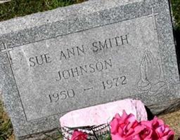 Sue Ann Smith